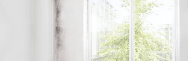 Mold Removal for HVAC Installations in Foxfire, NC